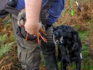 Training Dartmoor 8.10.17