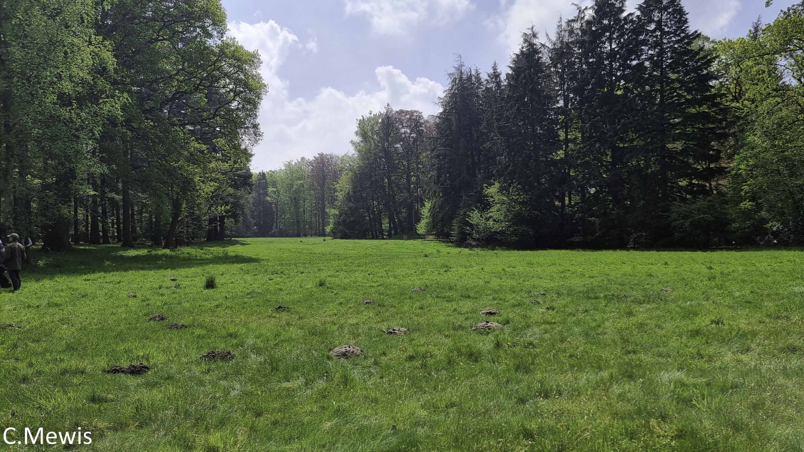Brasschaat 2025