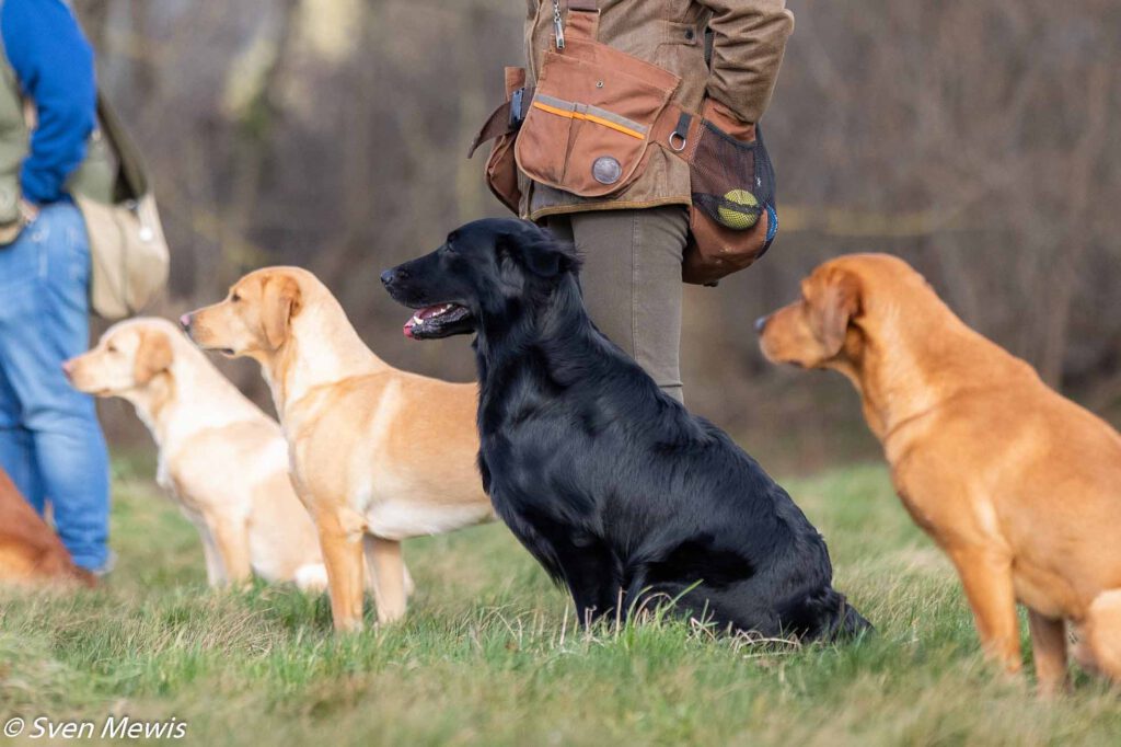 28.02.2026 - Mocktriel Training mit Sunny