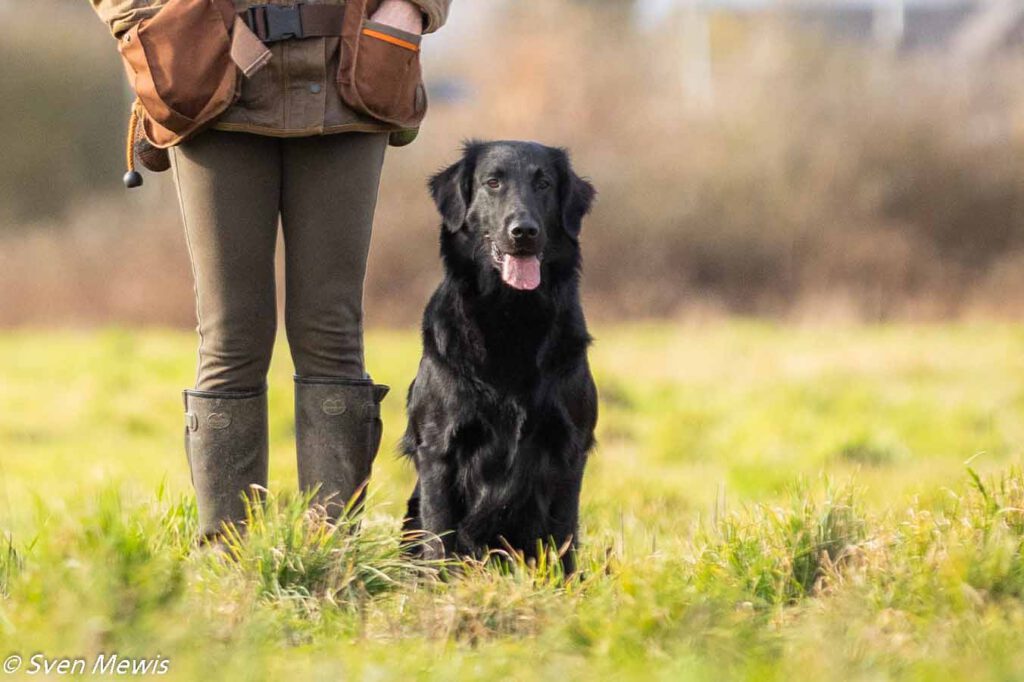 28.02.2026 - Mocktriel Training mit Sunny