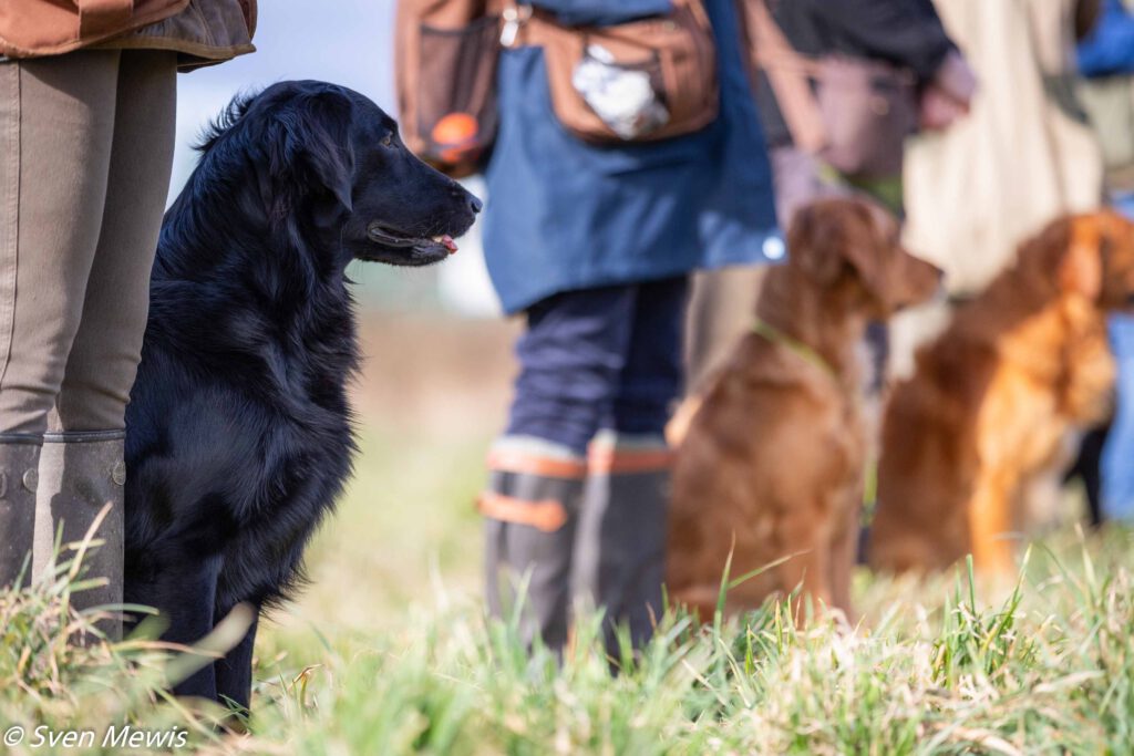 28.02.2026 - Mocktriel Training mit Sunny