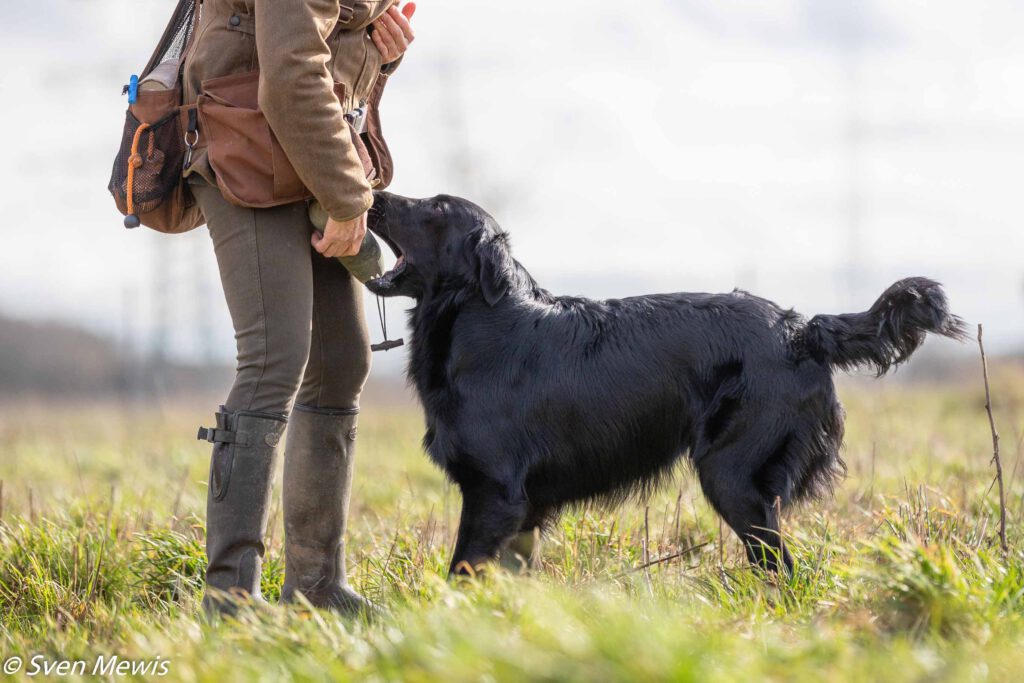 28.02.2026 - Mocktriel Training mit Sunny