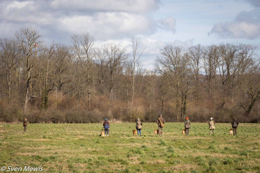 28.02.2026 - Mocktriel Training mit Sunny
