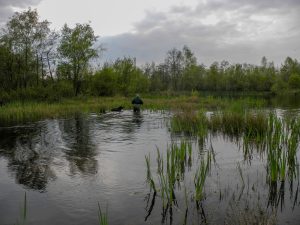 Jeffrey Wasser Beerse 29.4.17