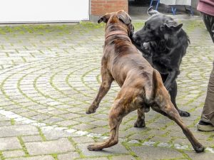 Jeffrey und Enno 5/2014