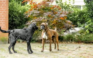 Jeffrey und Enno 5/2014