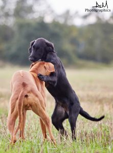 Ican und Hazel 4.9.17 @ Mira