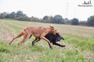 Ican und Hazel 4.9.17 @ Mira