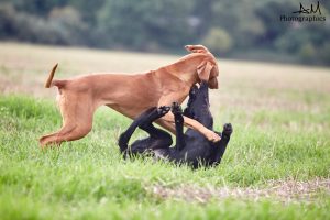 Ican und Hazel 4.9.17 @ Mira