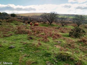 Dartmoor 2018
