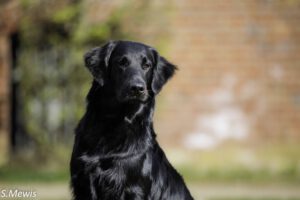 Thorembais 2025 @ Sven 4/25