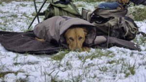 Seminar Düser Feb 2025