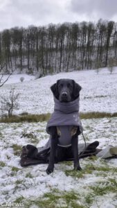 Seminar Düser Feb 2025