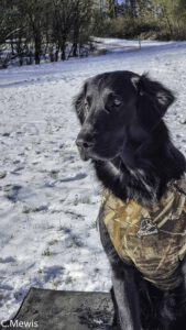 Seminar Düser Feb 2025