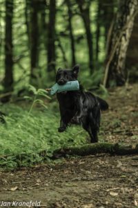 WT RTT 2025 @ J. Kranefeld