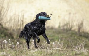 T Torhout 2025 alt von R.Benger