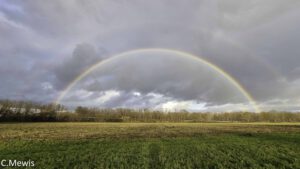 Adieu Ican 15.07.2025