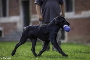 Bildgalerie Jyrki 27.09.25 @ Sven