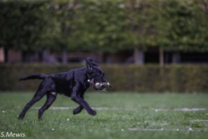 Bildgalerie Jyrki 27.09.25 @ Sven
