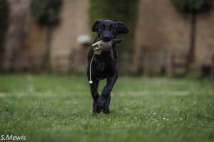 Bildgalerie Jyrki 27.09.25 @ Sven