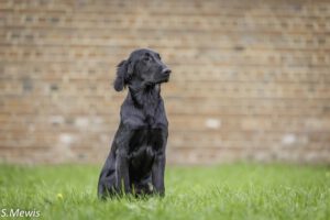 Bildgalerie Jyrki 27.09.25 @ Sven