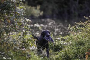 @ Sven Mewis 27.09.25