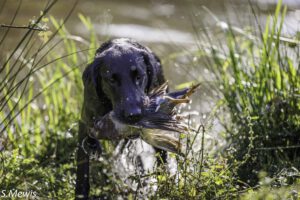 @ Sven Mewis 27.09.25