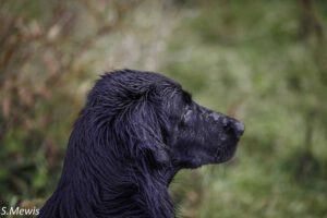 @ Sven Mewis 27.09.25