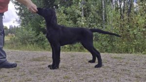 31.08.2025 Willkommen Jyrki@ Noora Lavonen