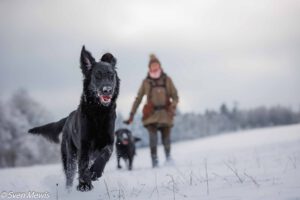 11.01.2026 Conny und Hunde im Schnee, Schmidt