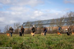 28.02.2026 - Mocktriel Training mit Sunny